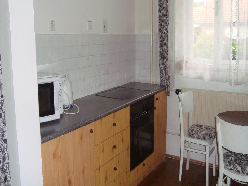 Privat Mirovice-Breznice Екстериор снимка